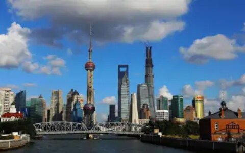 江西农村一位阿姨参加上海婚宴，菜上桌全是精品，网友：真精致（江西新娘出嫁视频）