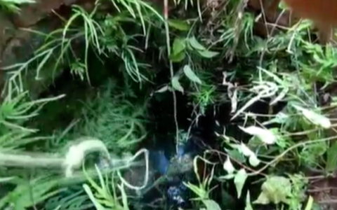 妈妈跳入井中护着儿子，唱起了《孤勇者》(妈妈掉到水里不救是什么罪)