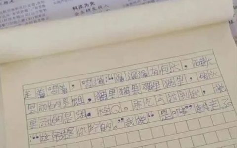 “栓Q”写进小学生作文，该怎么看？(小学生作文如何写好)