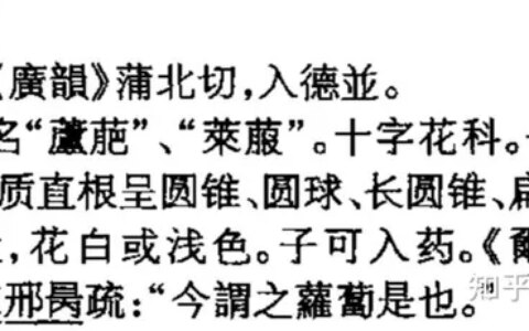 关于卜的发音：为什么萝卜的卜念bo，在占卜中念bu？(萝卜的卜是什么意思)