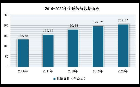 全球最大蓝莓生产国，是哪个国家？(世界蓝莓产量排名)