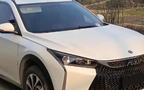 司机接一单顺风车后 车却被乘客卖掉（顺风车被抓会罚款吗）