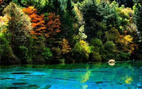 有没有去成都九寨沟旅游过的呀 毕业去九寨沟和成都玩  想问大概怎么走  人均花费多少 心里有个底~？（去成都九寨沟旅游要多少钱）