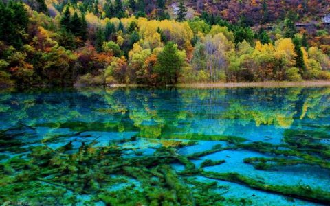 2023去四川游玩七天六晚大概花费，成都+黄龙+九寨沟7天最佳路线（成都去黄龙九寨沟二日游报价）