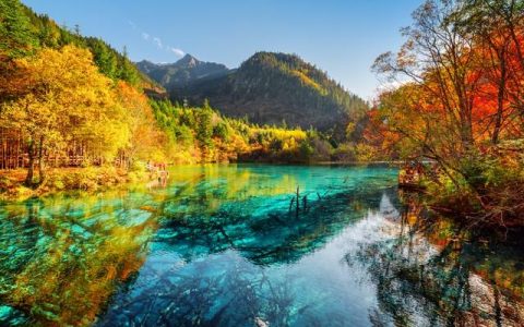 九寨沟旅游大概多少钱？九寨沟旅游攻略，必备！建议收藏（九寨沟景区门票多少钱）