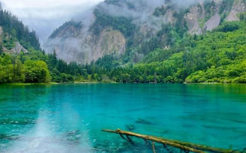 九寨沟7日游自由行攻略及费用，九寨沟七日游行程游玩攻略/附行程（九寨沟自由行攻略四日游）