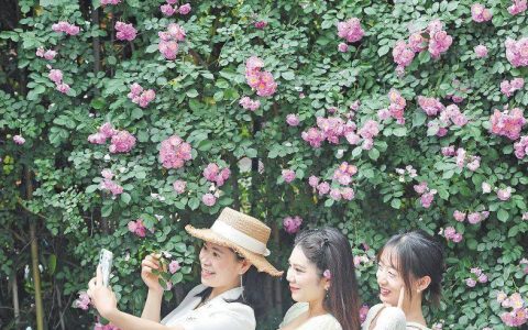 “五一”假期临近，旅游保险你买对了吗（探险）(旅游保险有用吗)