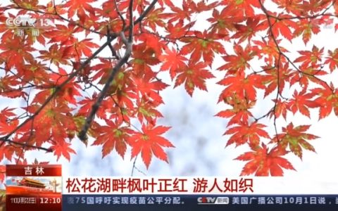三星堆、九寨沟、云冈石窟……多个旅游热门目的地现大客流（三星堆坐几路车）