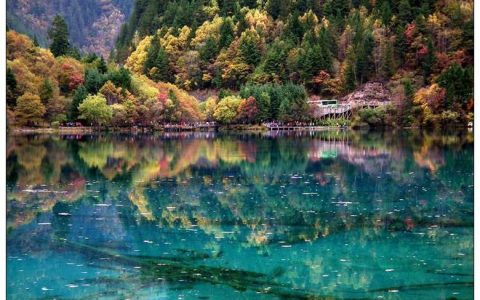 一个人去成都玩要多少钱,玩一趟九寨沟黄龙7天参团报价，人均1300（一个人去成都旅游需要多少钱）