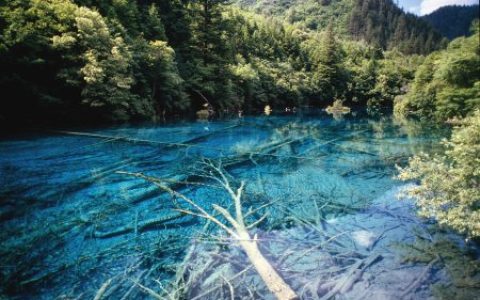 成都到九寨沟自由行攻略，让您的旅行更轻松！（成都到九寨沟两日游攻略）