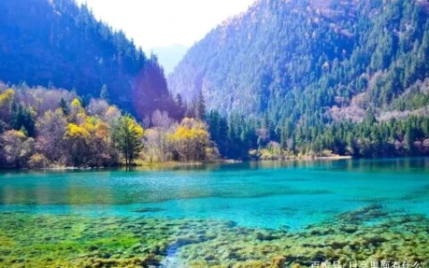 九寨沟游玩攻略分享，很实用，建议收藏（九寨沟游攻略大全）