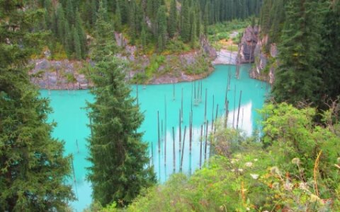 4月九寨沟旅游攻略：春暖花开的仙境之旅（九寨沟四月旅游）