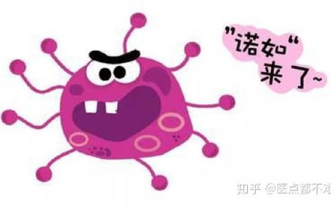 诺如病毒高发季，快来看看怎么对付它！(诺如病毒怎么解决)