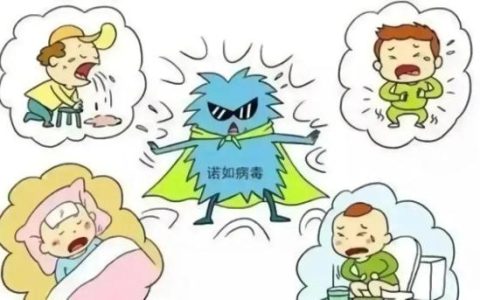 孩子上吐下泻？这份科学预防诺如病毒指南请注意查收(小孩子诺如病毒症状可自愈吗)