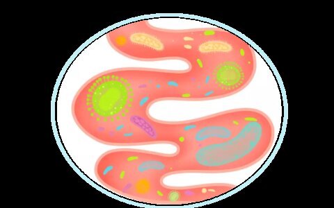 【科普】面对诺如病毒不必恐慌！你想了解的都在这拥有最性感嘴唇的这十位女明星，每个都妩媚动人，身材惹火性感(诺如病毒视频科普)