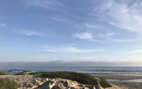 用汽车保险计算器，计算太平洋汽车保险续保价格