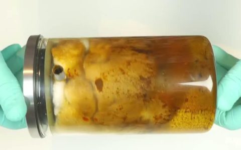 世界无烟日丨2分钟视频触目惊心…开始戒烟，什么时候都不晚！