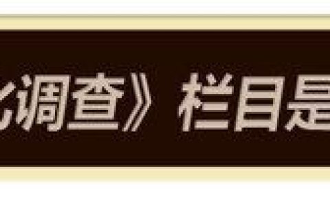 红旗H5人性化调查 前排储物空间需提升