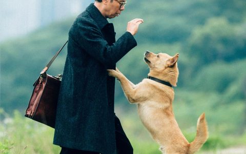 巧妙的本土化改编，大胆加入原创元素！《忠犬八公》拍出爱也拍出变迁