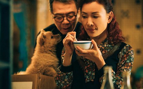 陈冲：《忠犬八公》与狗狗演戏很愉悦，它们可不会“装”