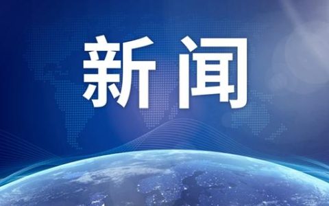 加入本土化处理，呈现中国式的深沉爱意和羁绊，中国版《忠犬八公》今日上映