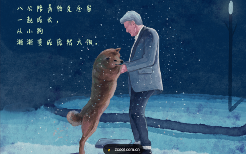 《忠犬八公》—坚强地念念不忘着