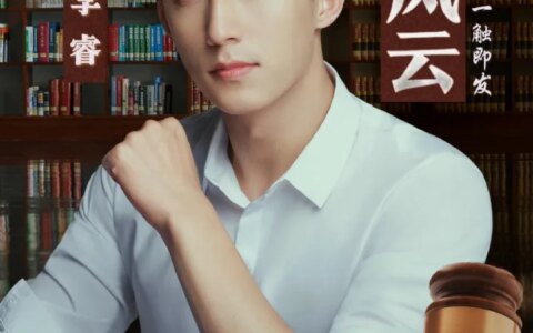 真实案例+金牌导演麦兆辉《检察风云》电影