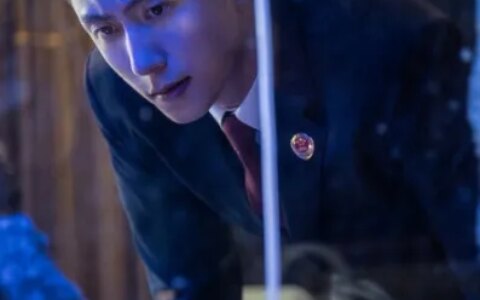 《检察风云》电影采用真实诉讼情节，黄景瑜王丽坤主演