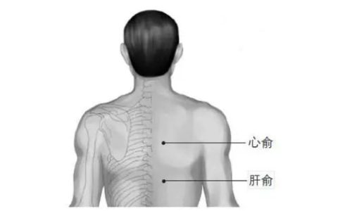 结节是什么东东，消除结节为什么要先调肝？