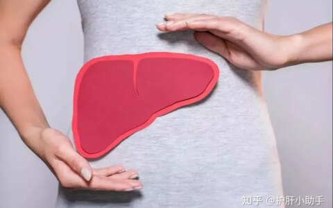 【科普】发现肝脏有结节，应该如何处理？