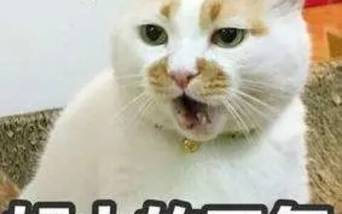 结节三级也不要怕，总归有办法的