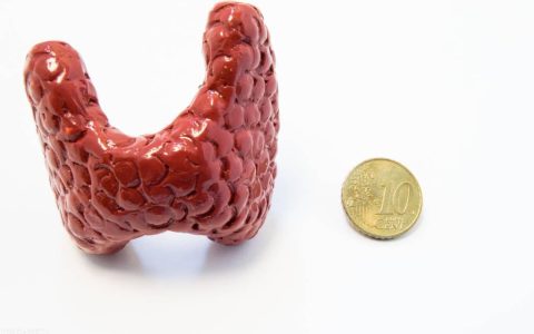 大部分的结节，根源在肝脾，李医生教你一招，疏肝健脾，软坚散结