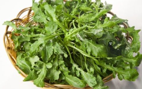 田间一种野菜不寒不热，可以明目清肝降火，有结节的朋友可以多吃