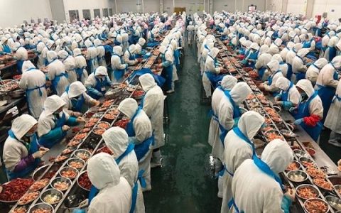 又到小龙虾上市旺季，你能实现“小龙虾自由”吗？