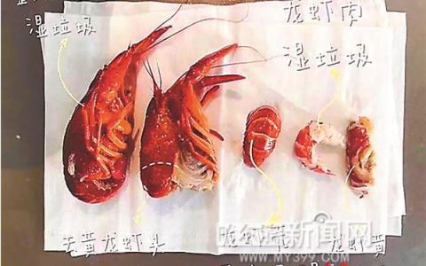 冰城人一天吃10吨小龙虾，都会扔虾壳？