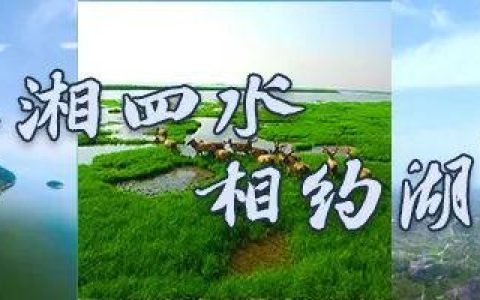 小孩子才做选择题，音乐节、冰啤酒、小龙虾，我们到君山全都要！