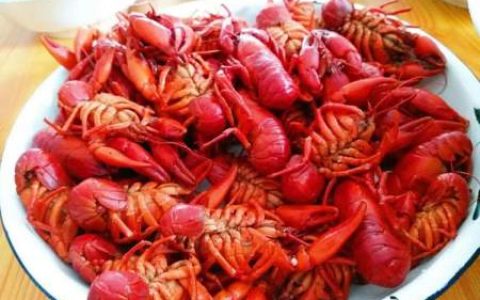 国产“小龙虾”终被发现，一斤50元，味鲜又干净，却少有人知道