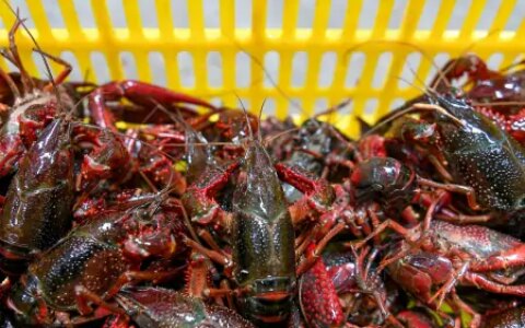 黑龙江顾客在某饭店店买了10斤的小龙虾，复称发现只有5斤多一点