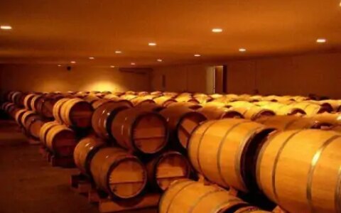 建造500平方的红酒冷库需要多少钱？