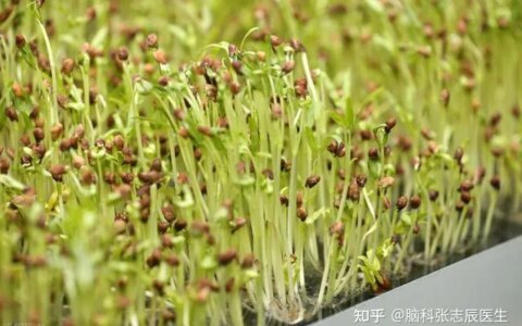 高血脂饮食调理，十大降血脂最好的食物，怎么降血脂最有效