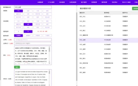 有道翻译接口自动中译英翻译软件