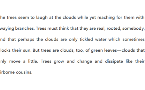 国内哪个翻译软件正确率最高？