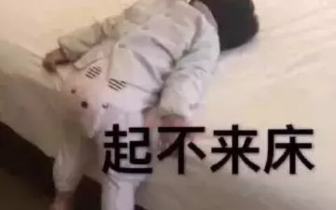 学信网可查最全解读