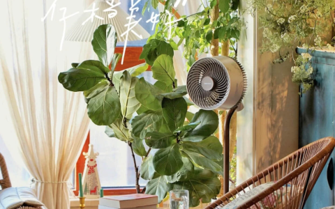 能杀菌的循环扇，也是落地灯