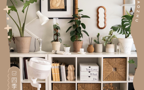 火了5年的生活小家电，用对的真没几个