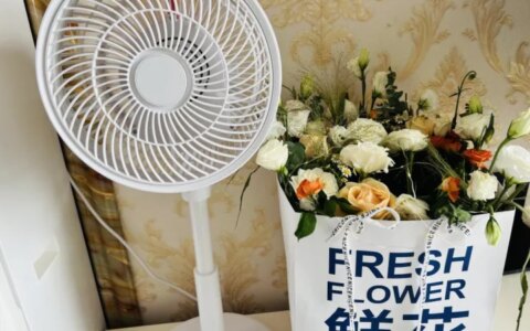 空气循环扇好用吗？空气循环扇真的有用吗？舒乐氏空气循环扇开箱评测，家里有娃必备的“电风扇”！！