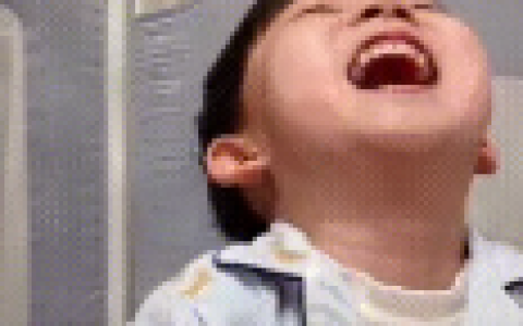 “空气循环扇”到底是不是智商税？