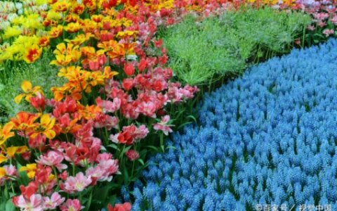 你来过，我爱过，你的好我记得（你来过我来过是什么歌）