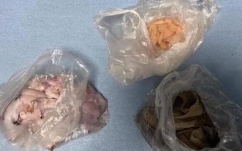 行拘！两女子为吃自助餐回本，偷偷把食材打包带回家，网友：为了吃免费牢饭也是够拼的（吃自助餐可以打包吗）