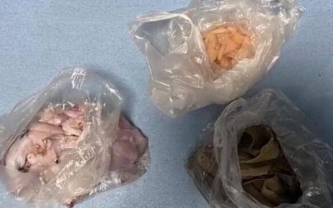 两女子为吃自助餐回本被行拘 网友：为了吃免费牢饭也是够拼的（女子去98元一位的自助餐厅吃饭 拿到生蚝一看瞬间怒了）